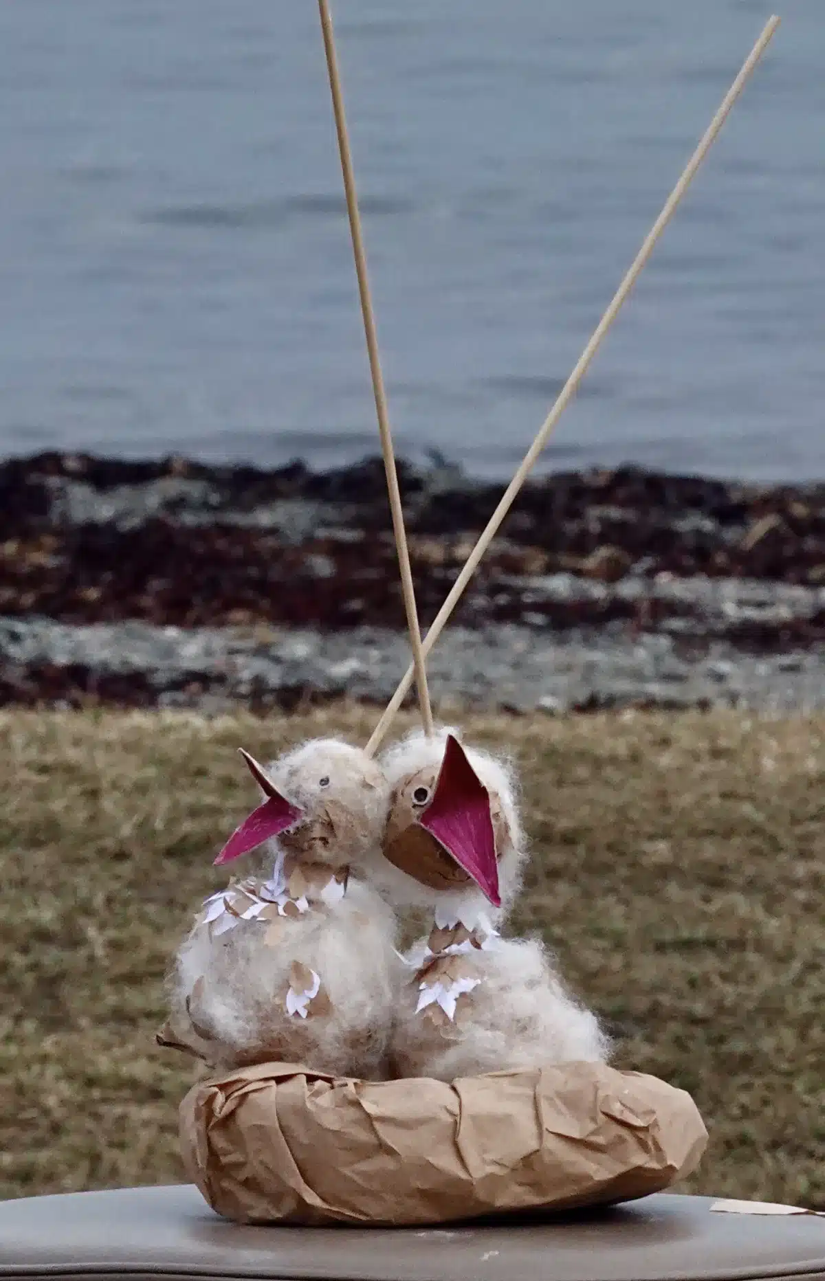 Photo of some bird puppets in a coastal scene