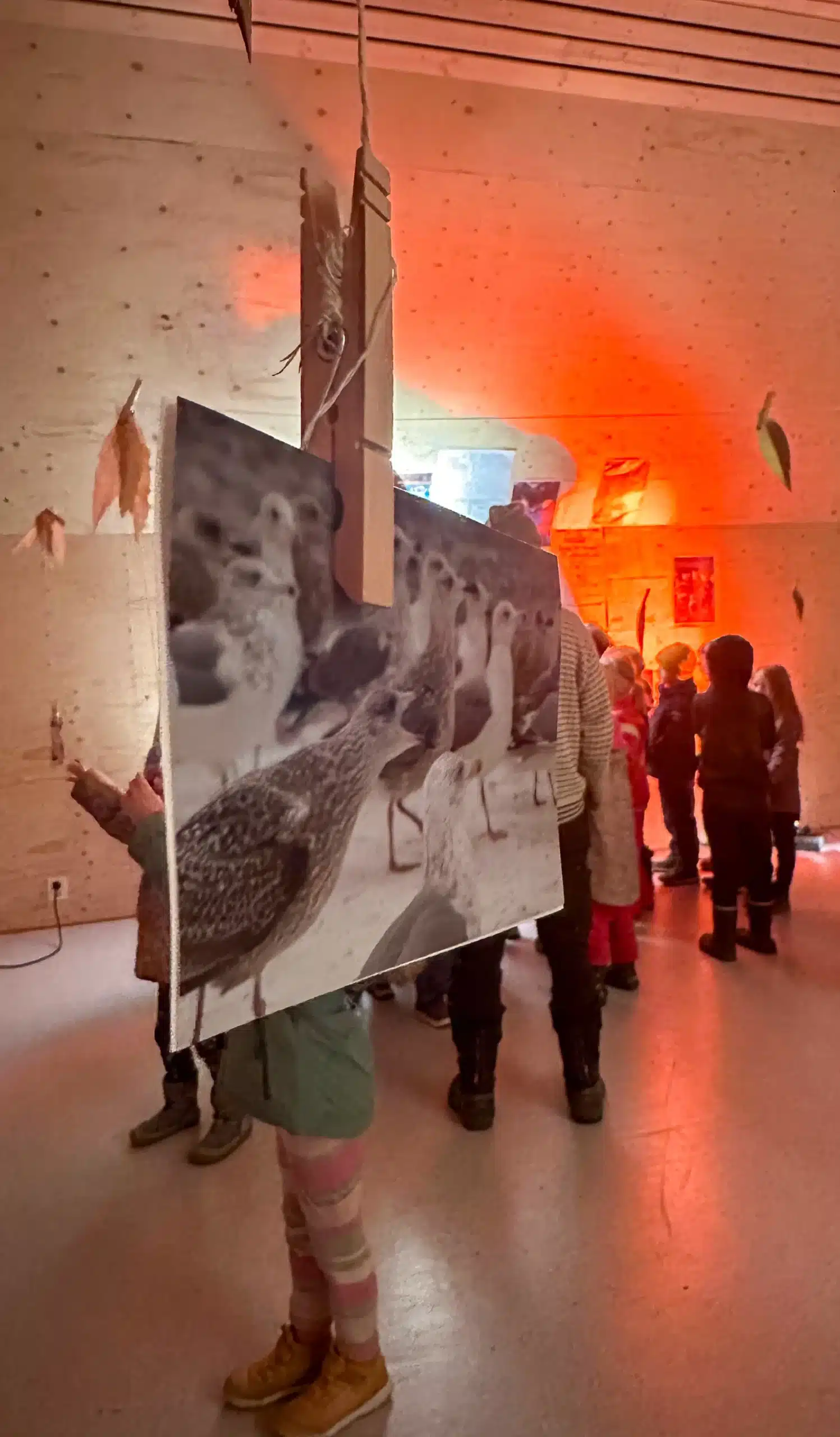 Herring gull image by Annamaria Zemkova in Seagull Welcome Party exhibition. Photo Annamaria Zemkova