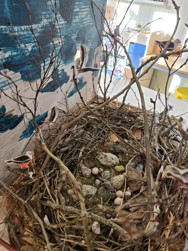 Nest and seagulls inside installation