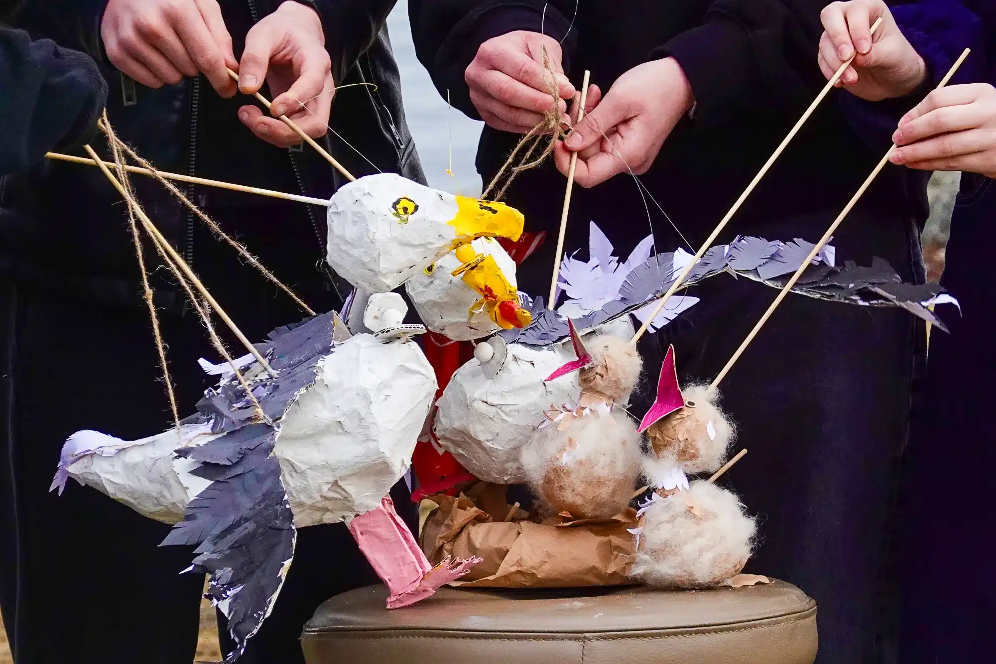 Seagull puppets animated by Trondheim International School students, 2026. Photo Annalise Best