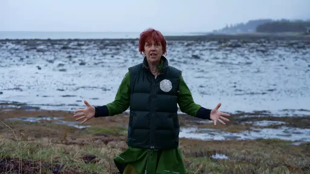 Still of video Hvem er lundefuglen