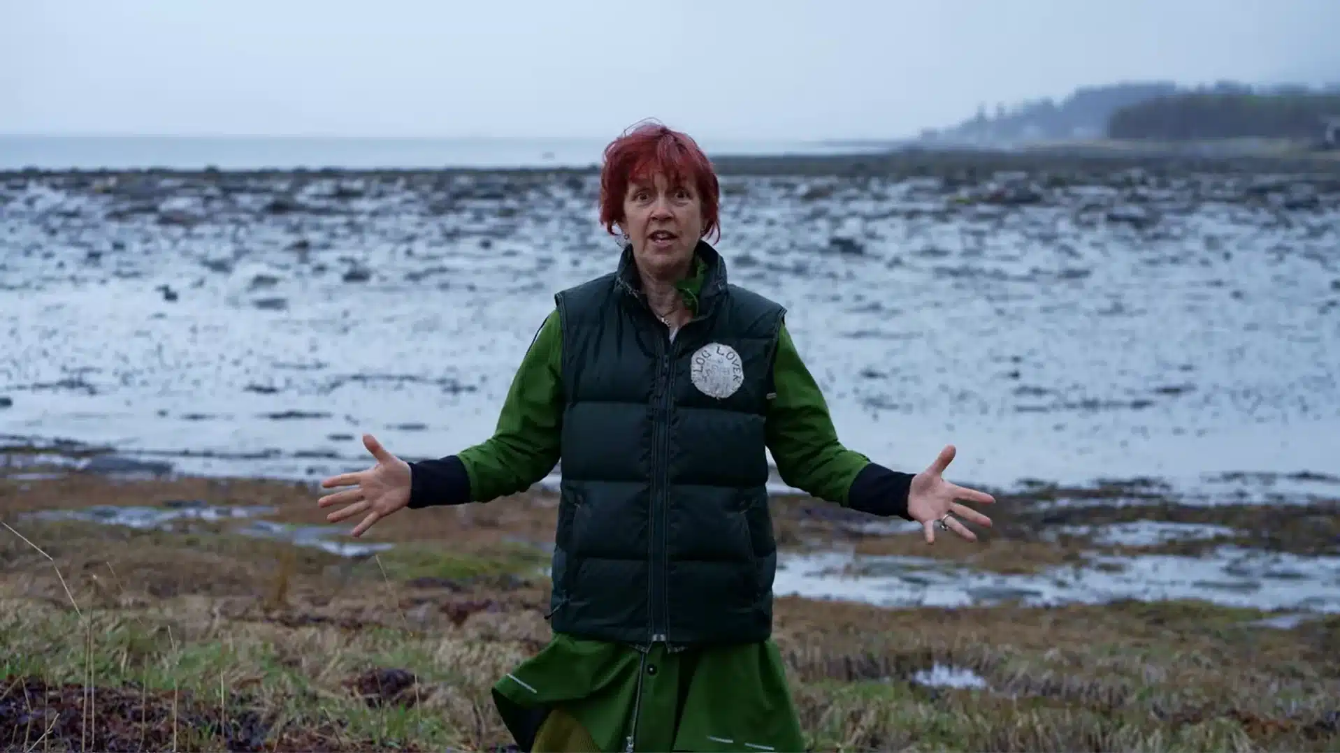 Still of video Hvem er lundefuglen